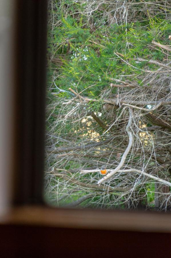 玛格丽特河畔小屋别墅 外观 照片