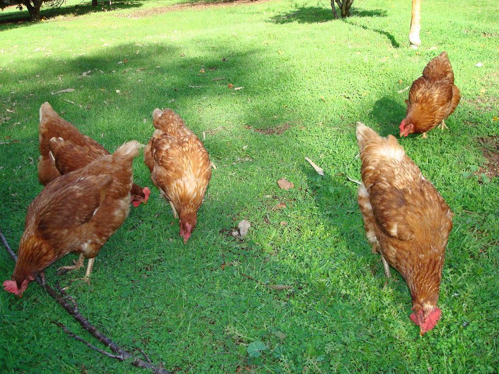 玛格丽特河畔小屋别墅 外观 照片